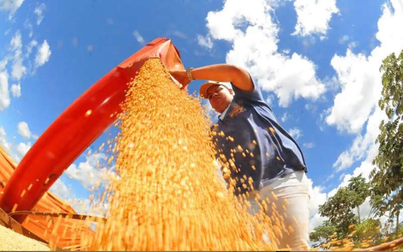 Atividade econômica brasileira cresce 0,6% em fevereiro