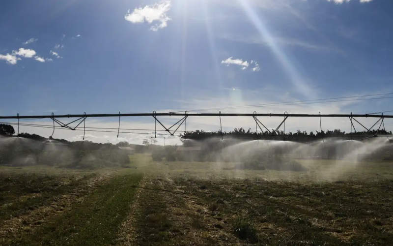 Ameaça sobre espécies dependentes do solo é desconhecida, diz estudo